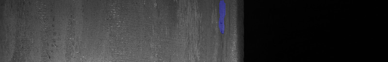 Data sparsity & cardinality · Industrial Surface Anomaly Segmentation